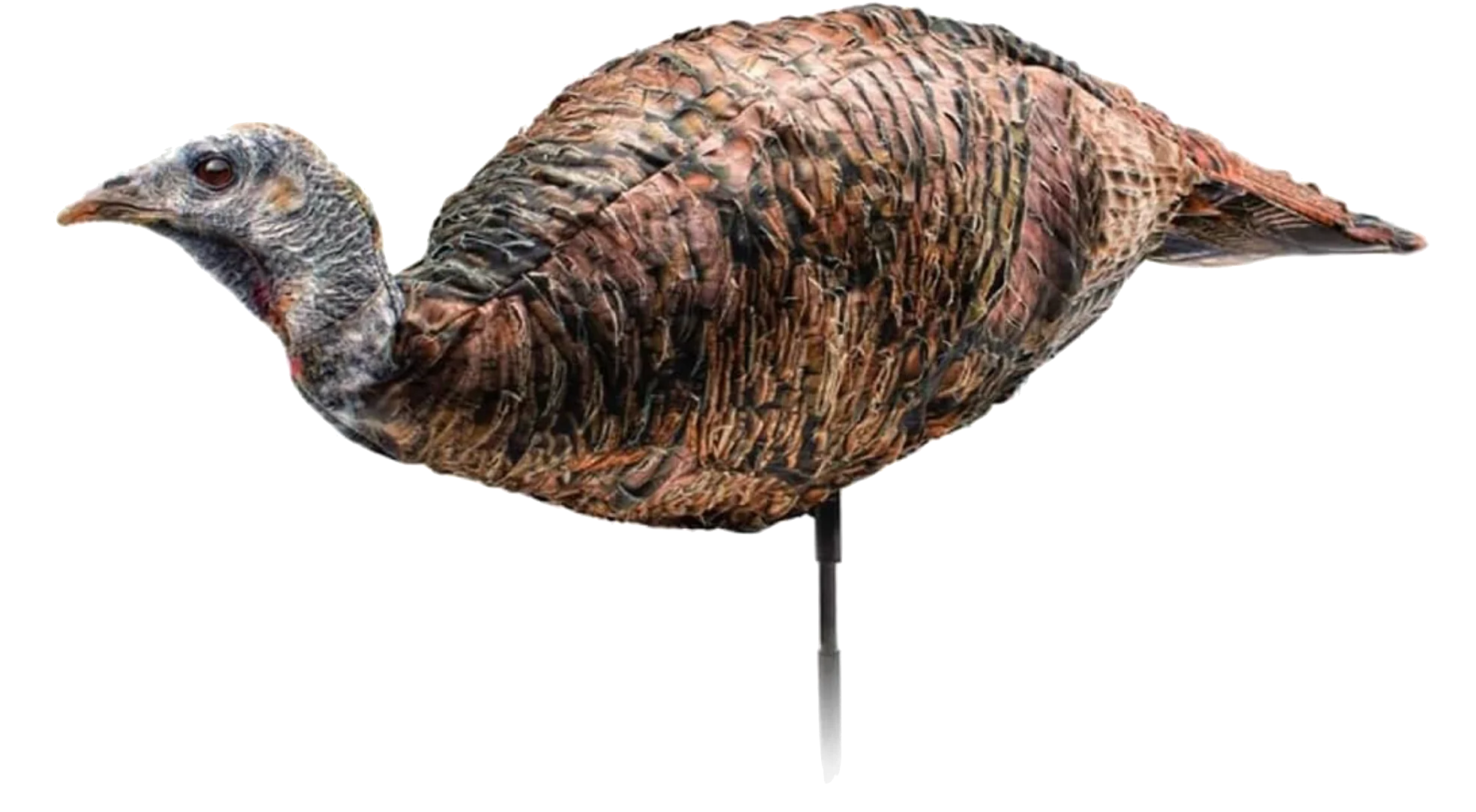 Montana Decoy Miss Purr-FECT XD Hen Decoy