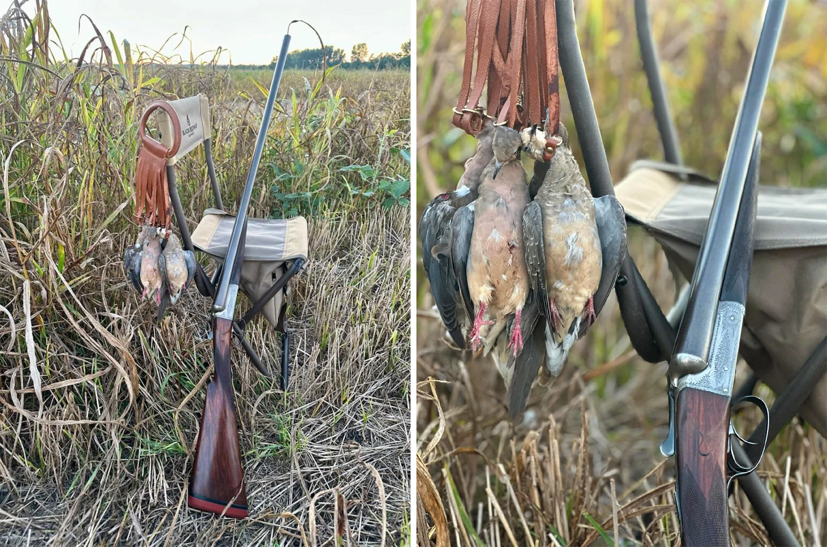 An English double shotgun leans against a field chair during a dove hunt. 