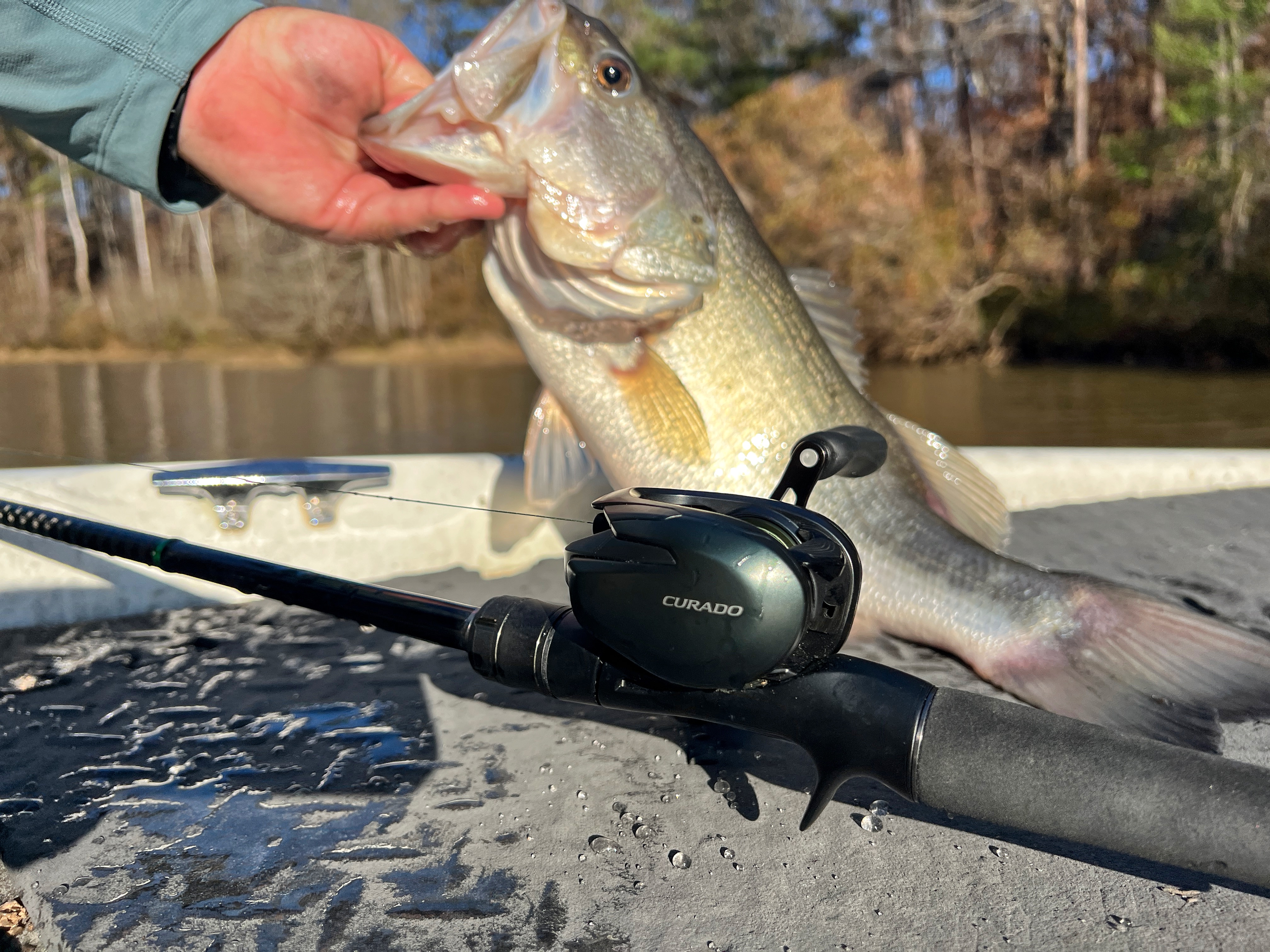 Shimano Curado 150 M