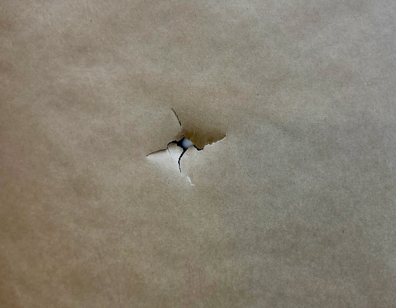 A right paper tear from the Hoyt Alpha X-3.