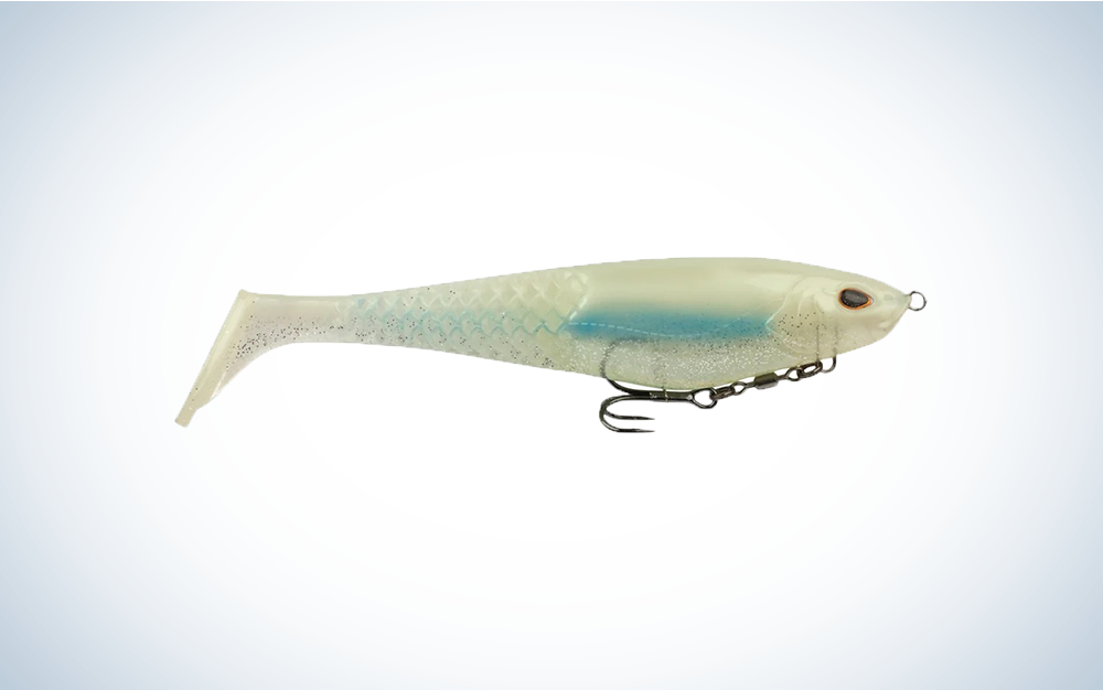 berkley cullshad bait on blue and white background