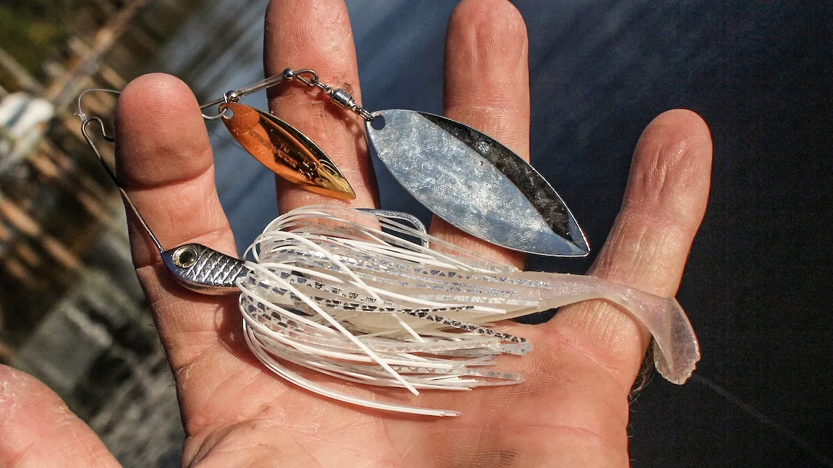 spinnerbait in hand