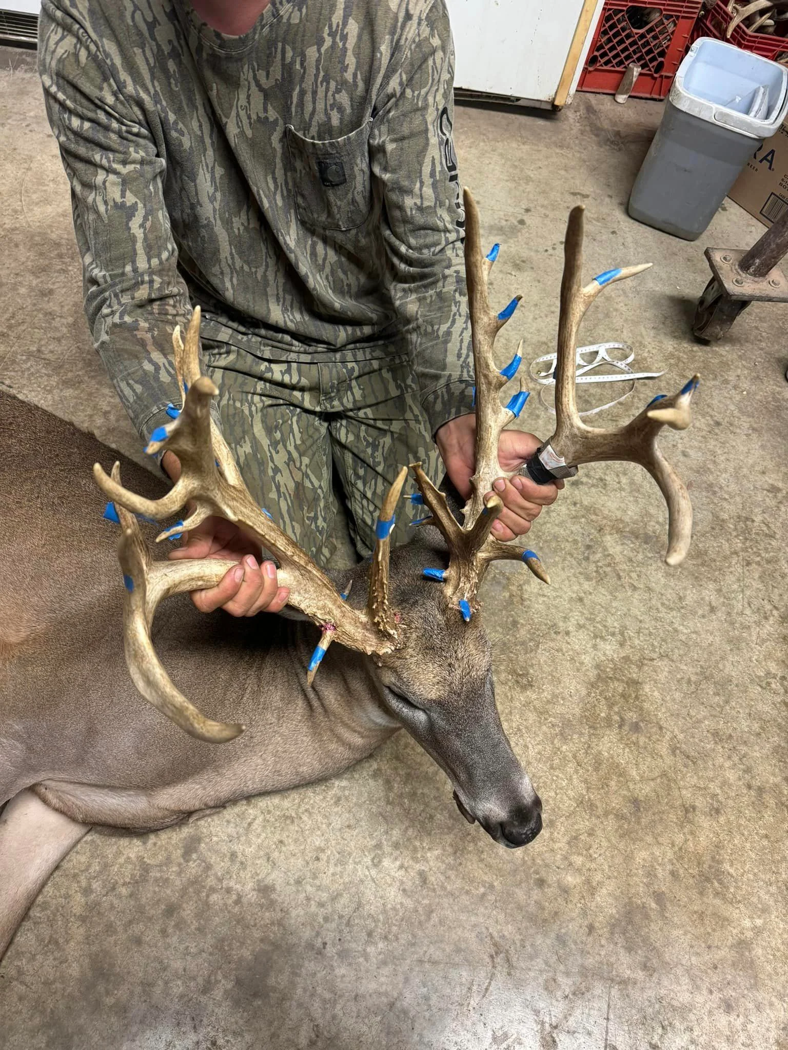 A giant nontypical whitetail buck is scored for the record books. 