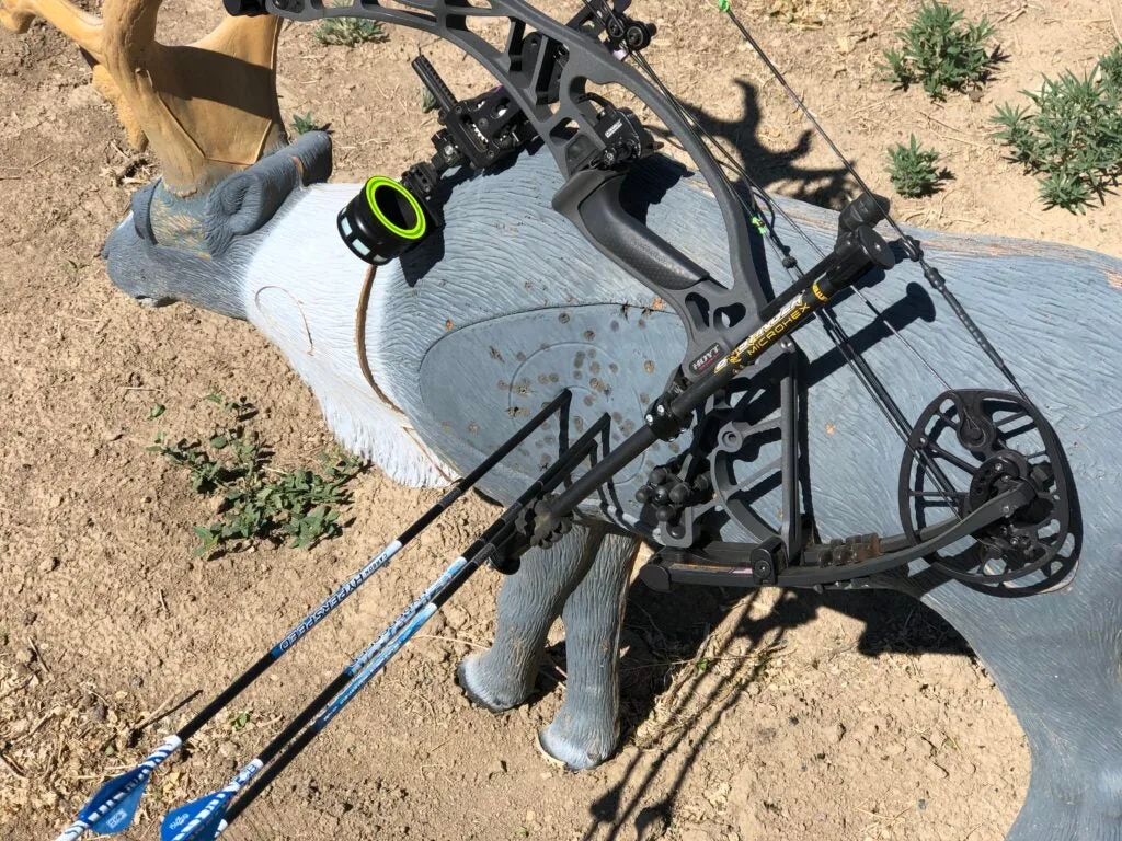 A 3D target and bow stabilizer