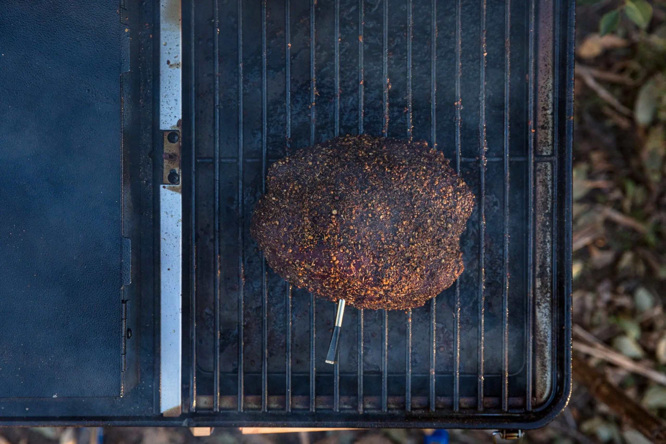 A venison roast smokes on a smoker.