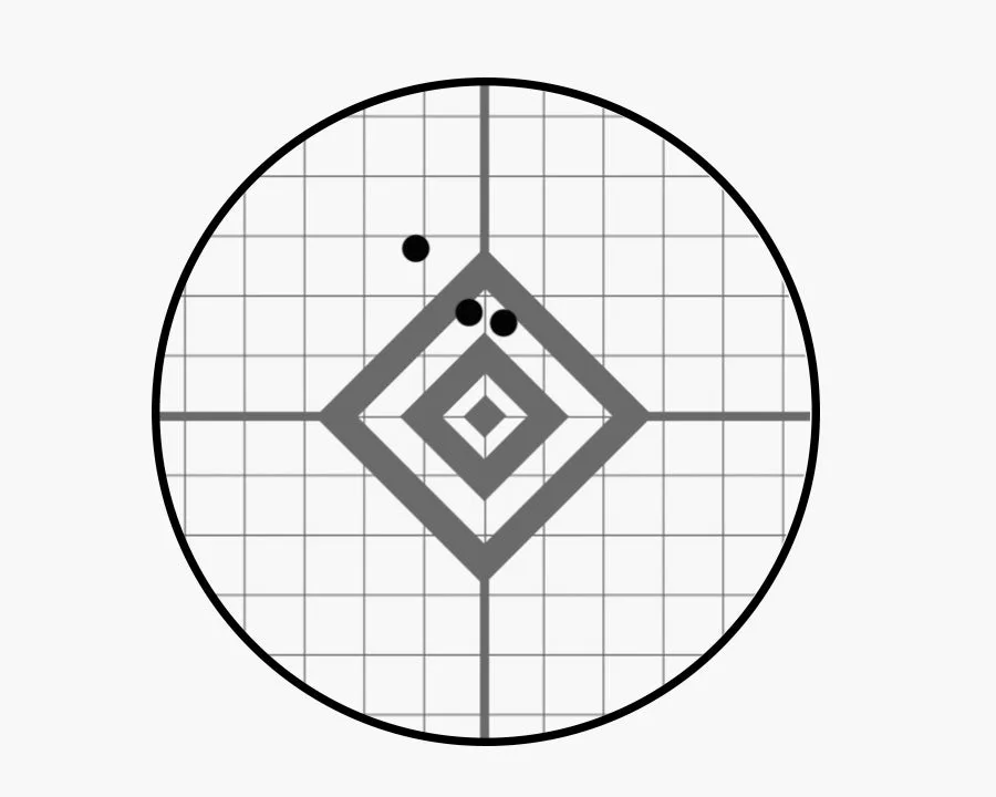 An illustration of a target.