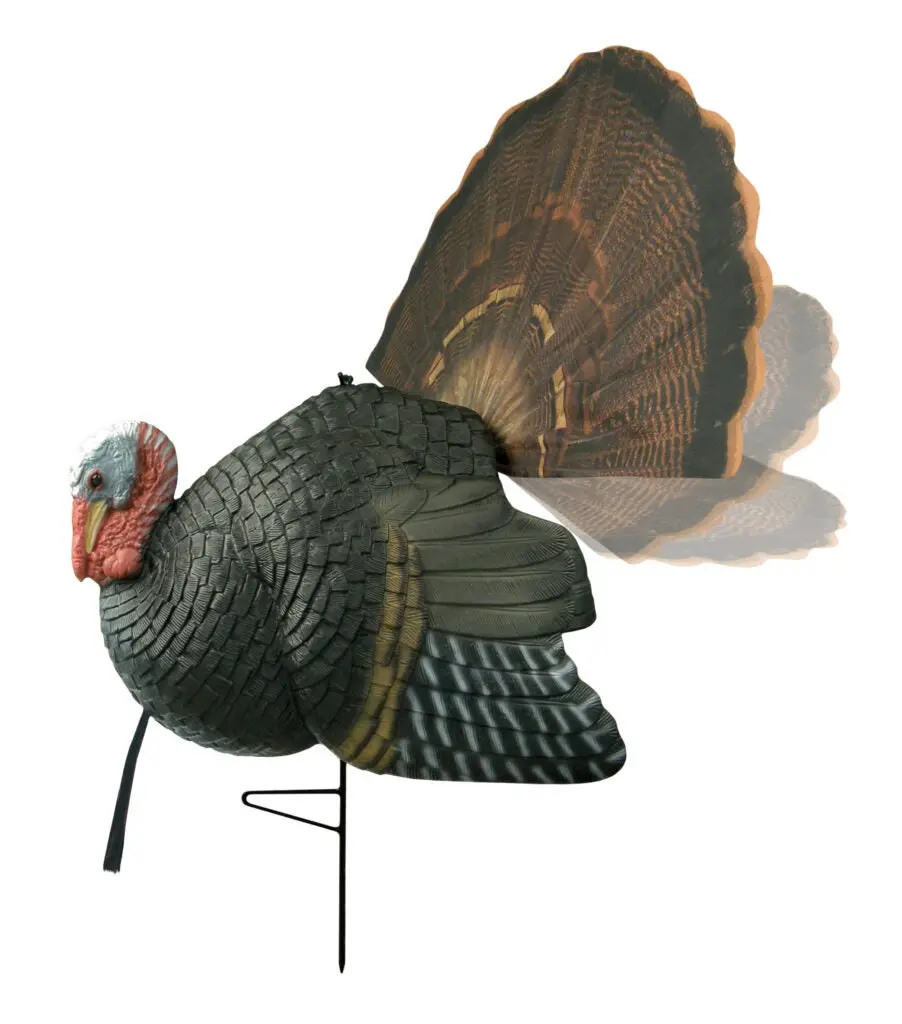 Turkey Decoy