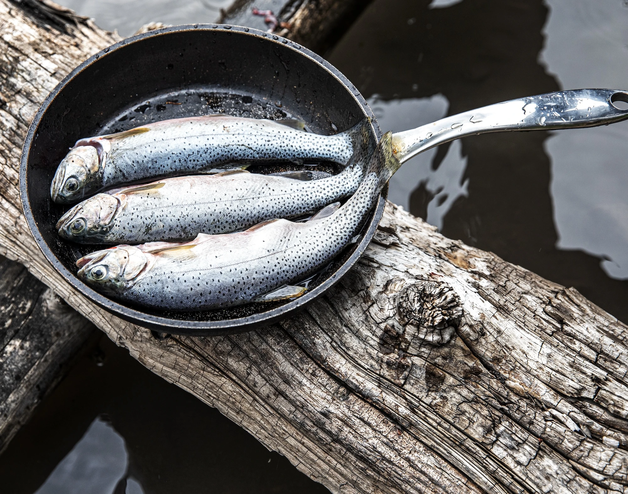 three-trout-in-skillet