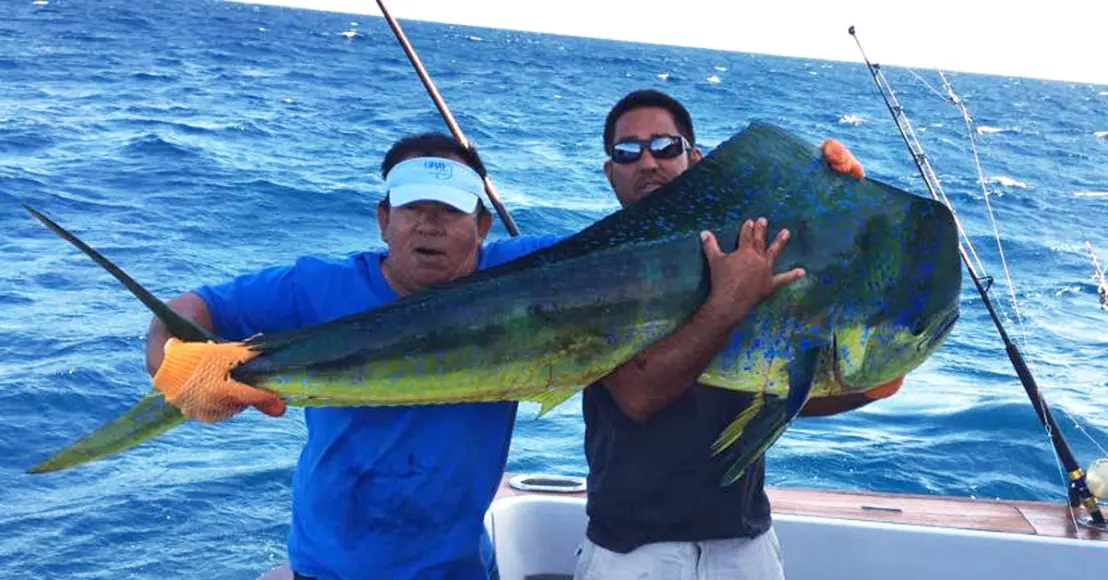 httpswww-fieldandstream-comsitesfieldandstream-comfilesimport2015mahi1_0-jpg