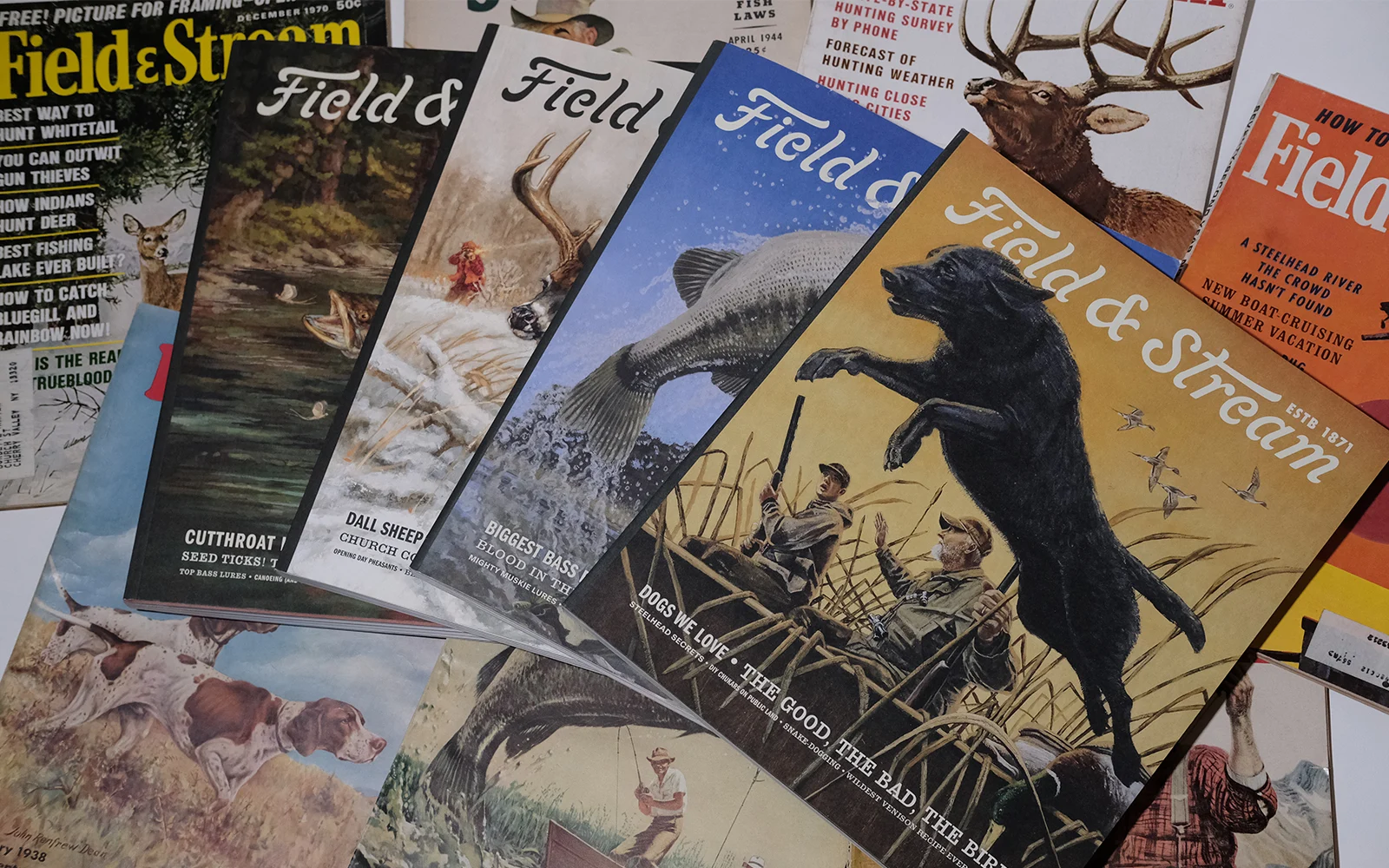 Journal banner image