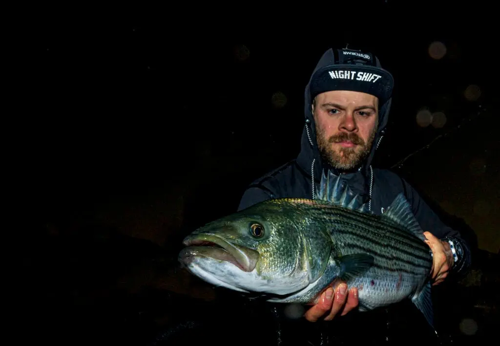 Fisherman with a striped bass at night.