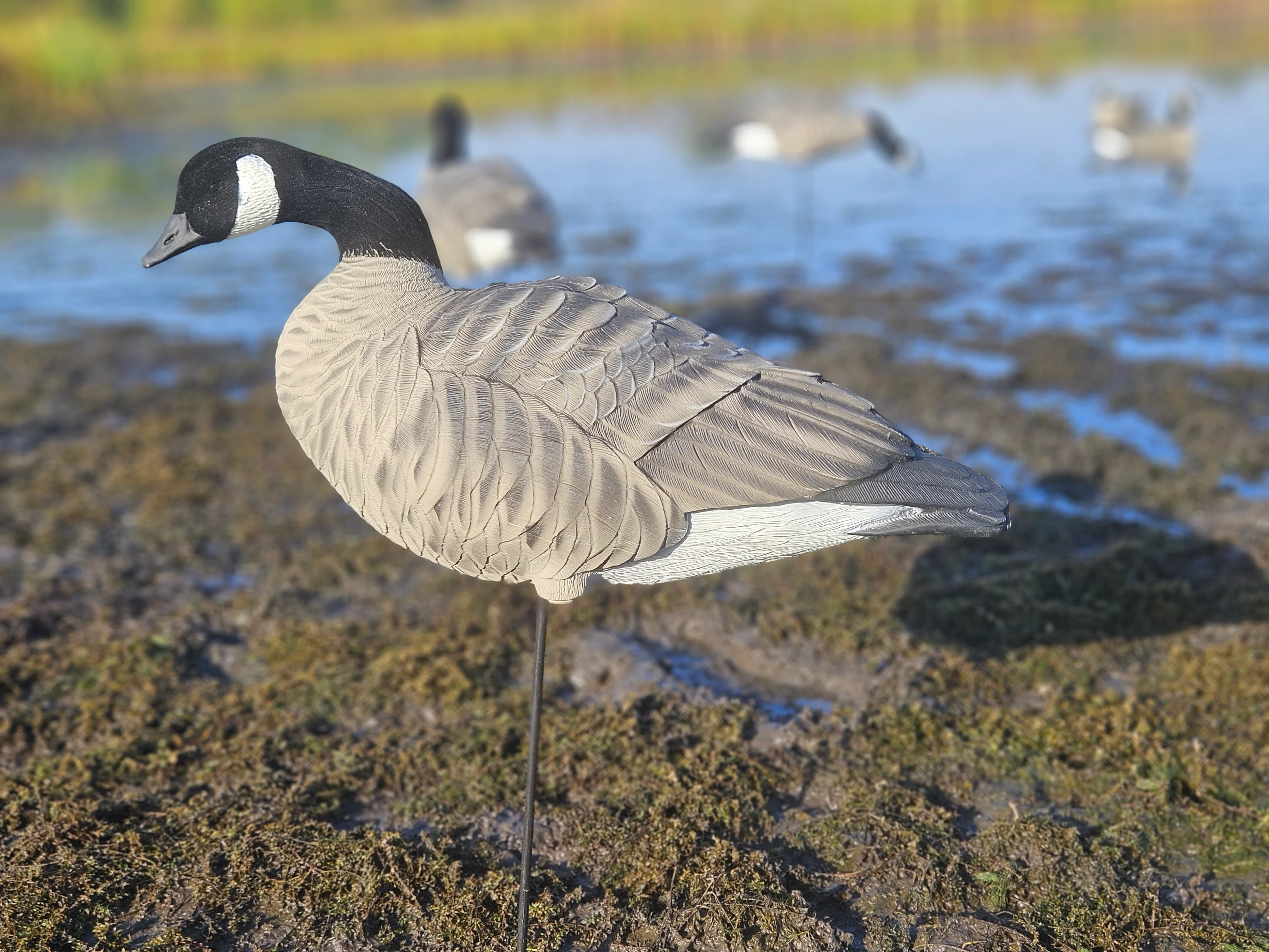 GHG Decoy in the mud