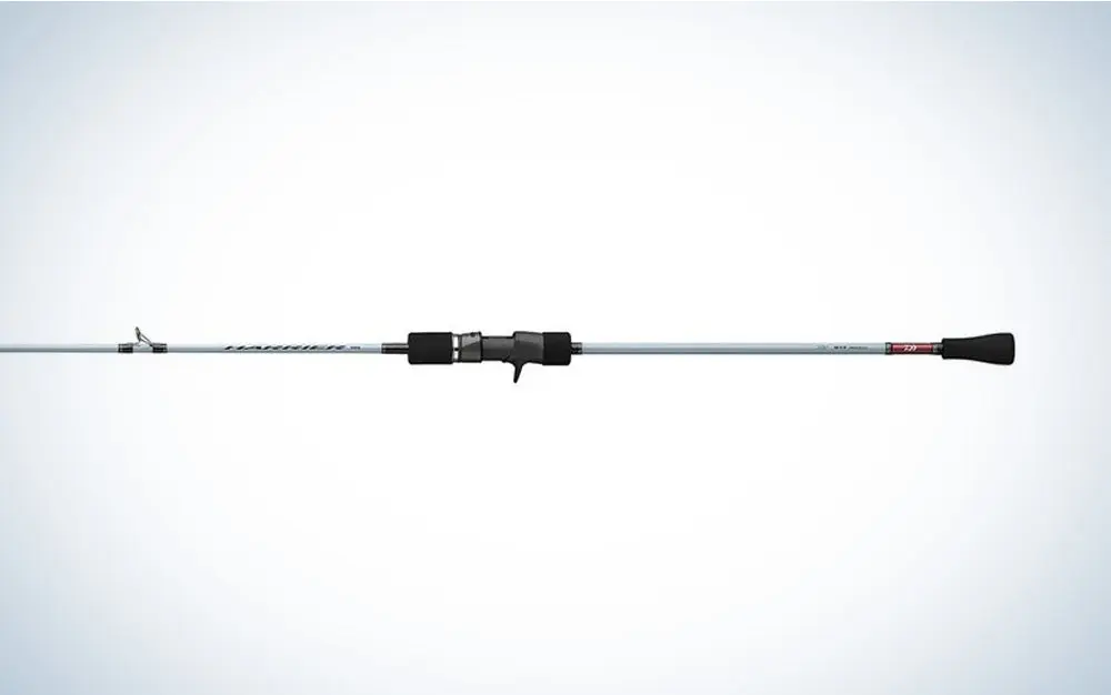 Best Jigging Rods