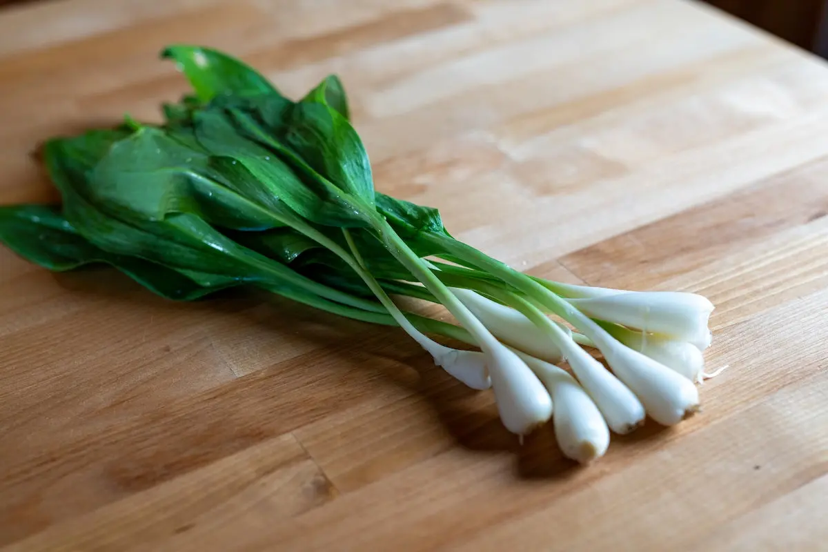 Ramps on a wooden table.