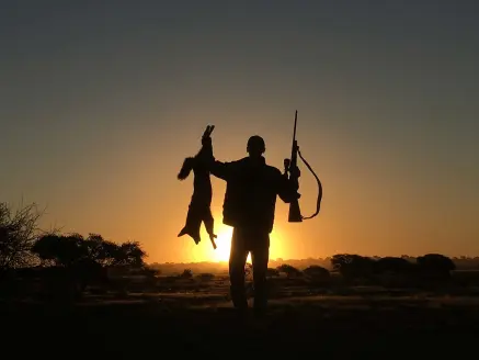 httpspush-fieldandstream-comsitesfieldandstream-comfilesimages2019061-hunter-holding-varmint-sunset-jpg