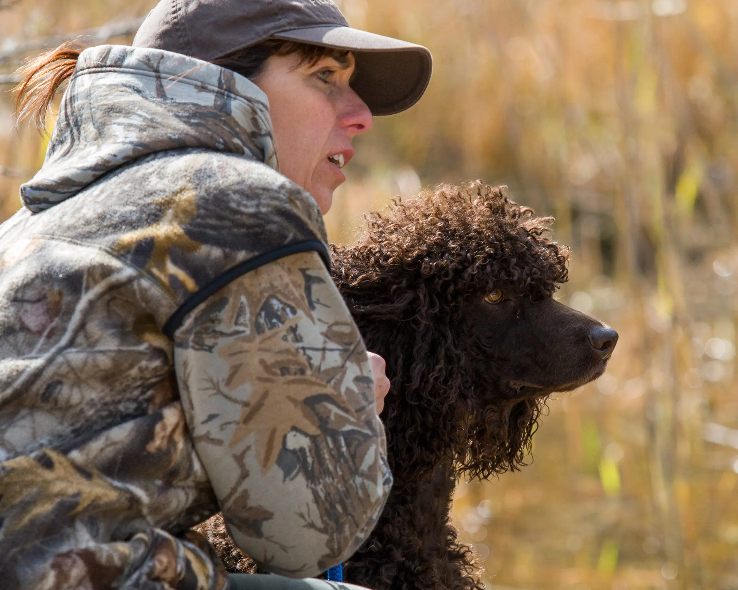 Irish water spaniel