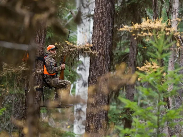 hunter in treestand