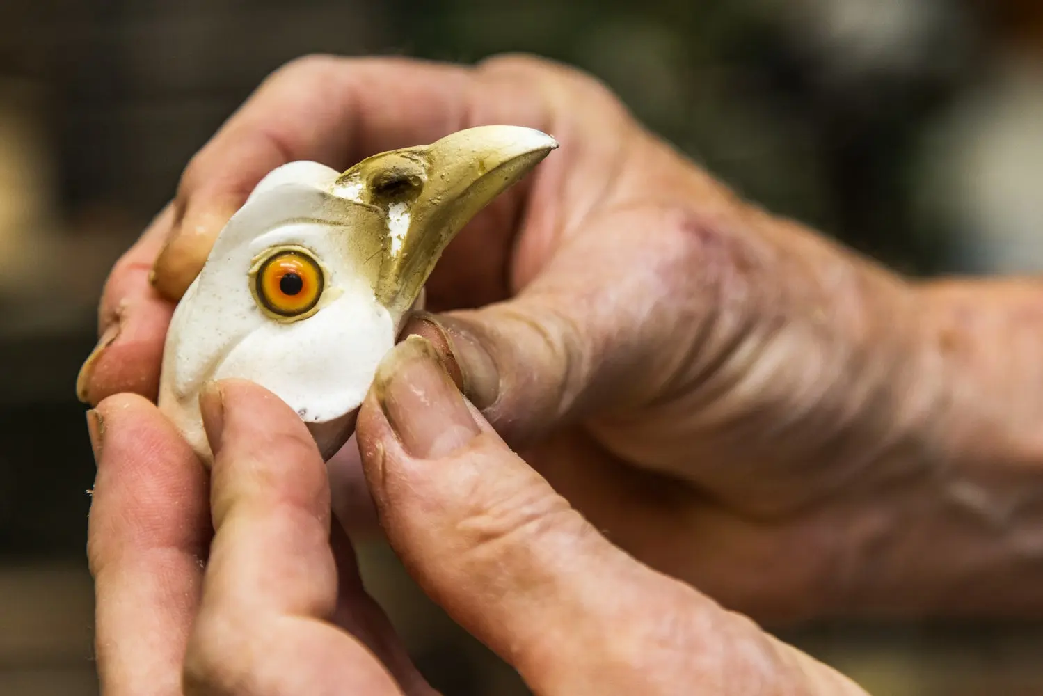 Hand holding pheasant taxidermy head form.