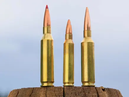 httpspush-fieldandstream-comsitesfieldandstream-comfilesimages201910remington-creedmore-match-bullets-jpg