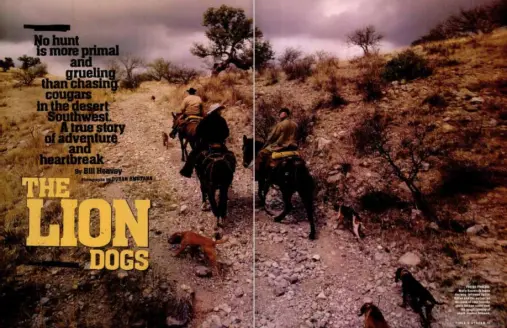 A spread from <i>Field & Stream</i> magazine called "The Lion Dogs". Hunters ride on horseback through a wild plain followed by their hunting dogs.