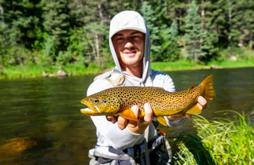 Angler holds up brown trout