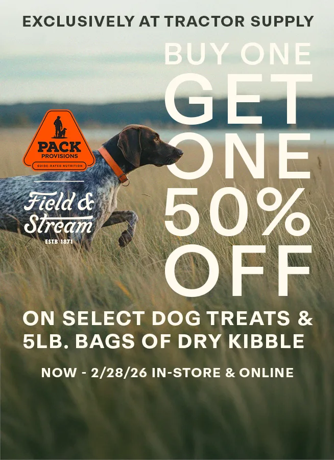 TSC bogo copy desktop