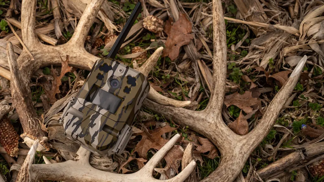 a cellular trail camera surround by whitetail deer shed antlers