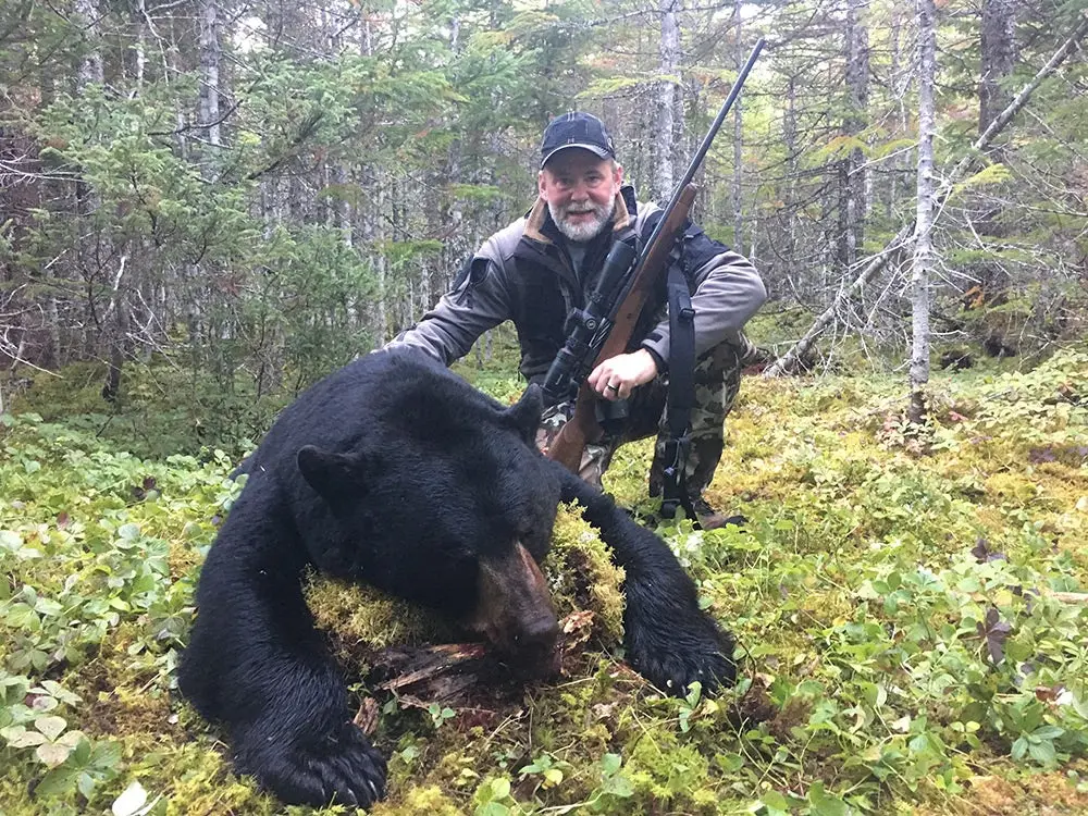 355-pound Newfoundland black bear