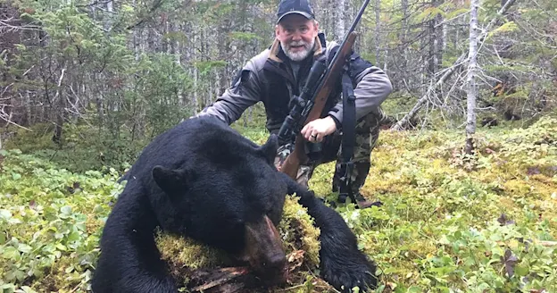355-pound Newfoundland black bear