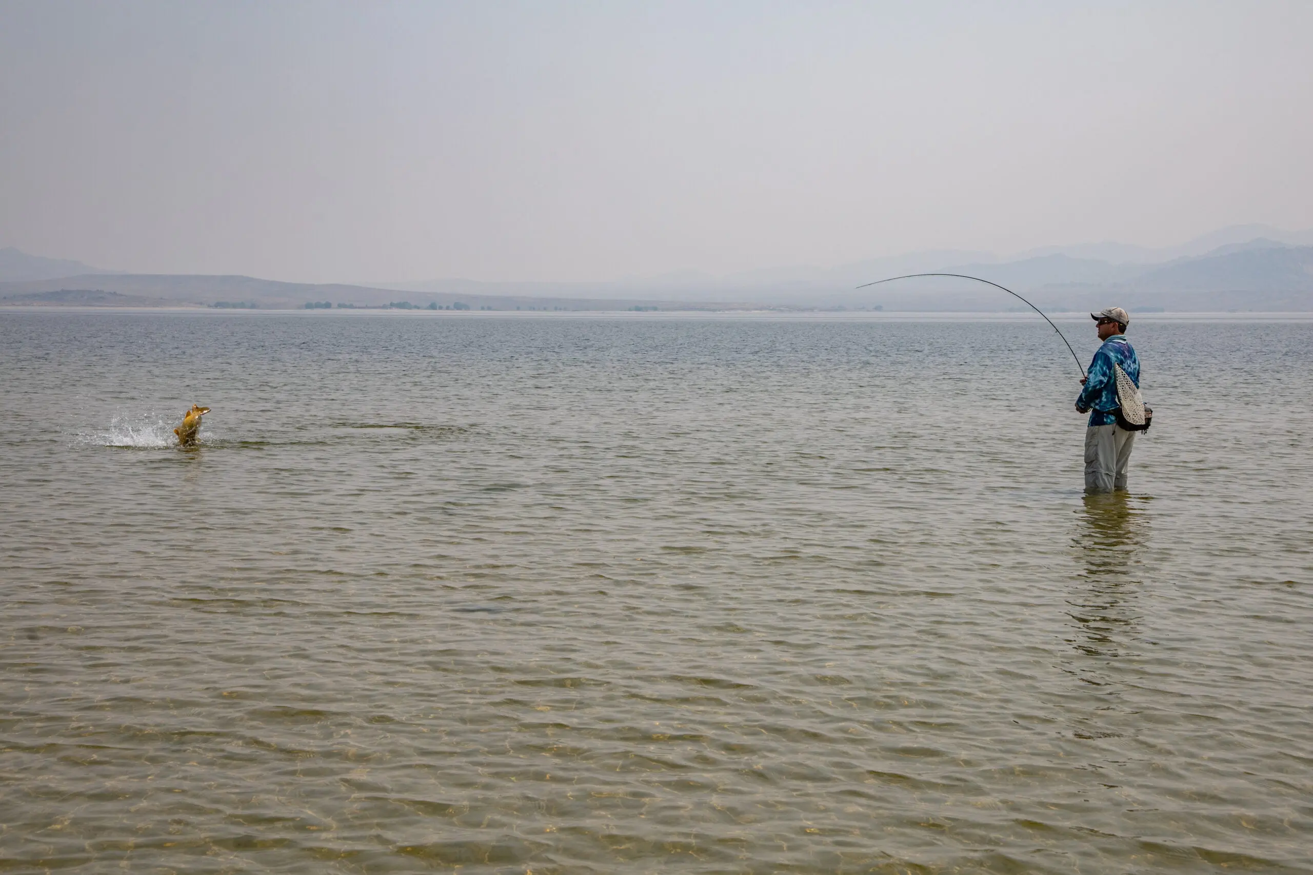 photo of catching carp on a fly rod