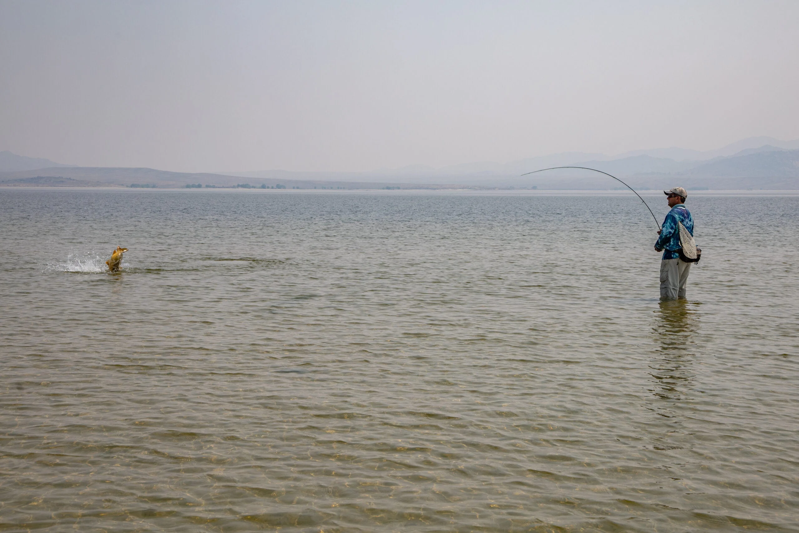 photo of catching carp on a fly rod