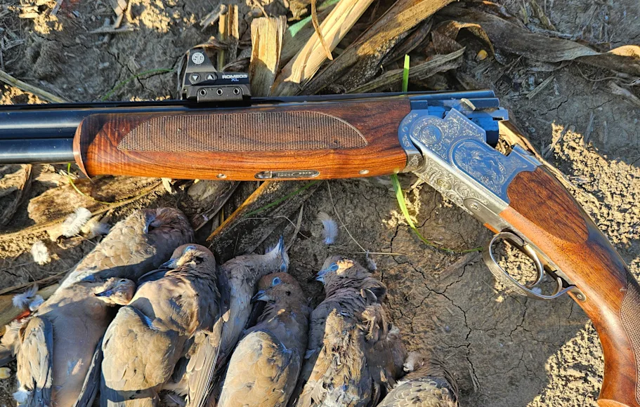 Red Dot Shotgun Lead