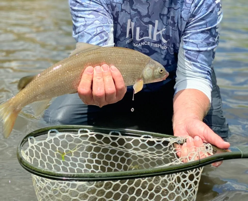 Todd, one of the retreat's participants, landed a solid mountain whitefish on the second day.