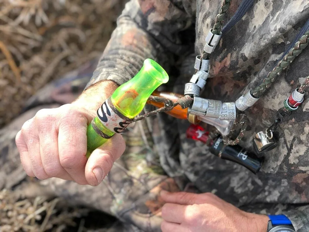 how to hunt late season geese, calling