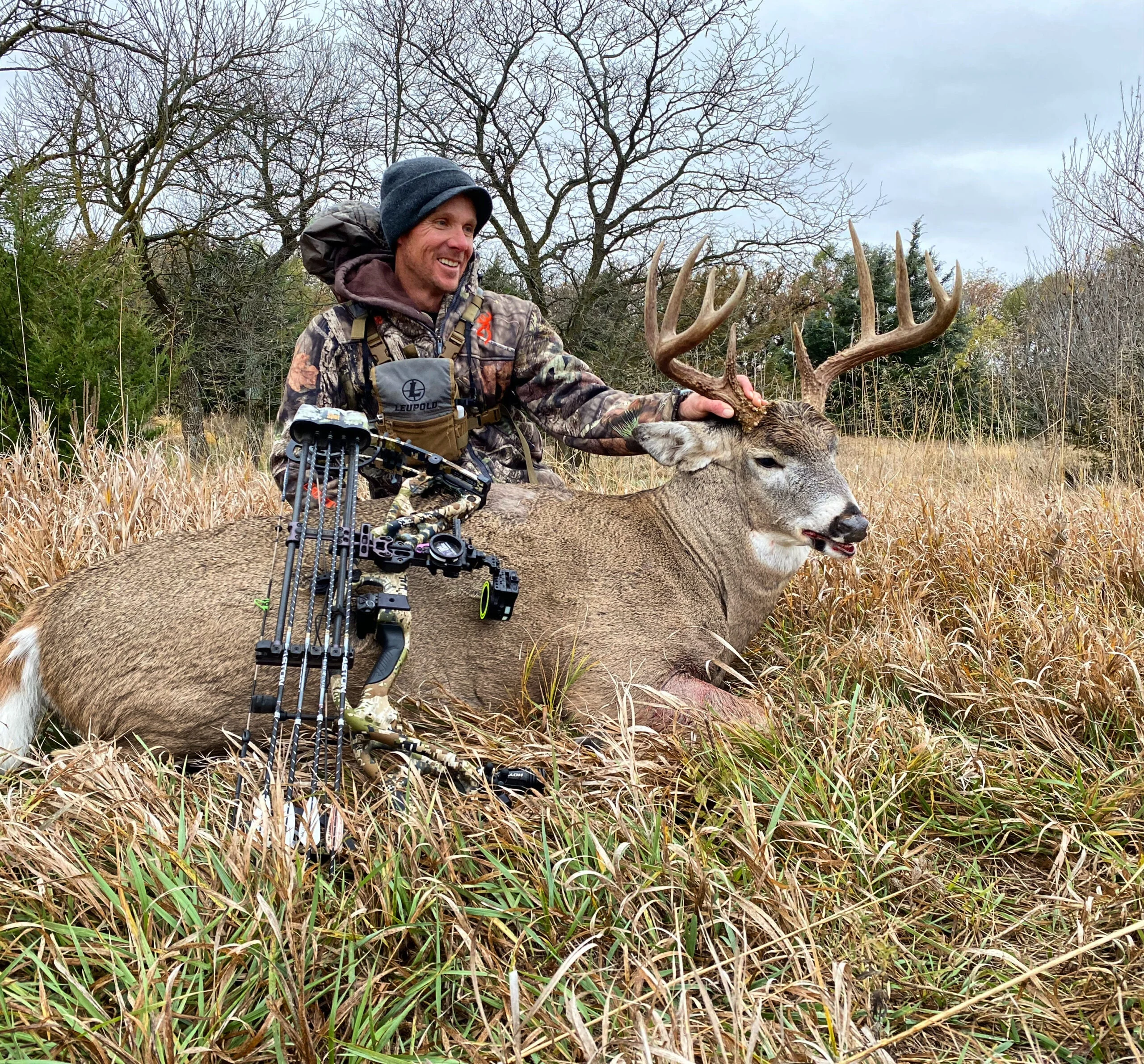 Compound Bows photo