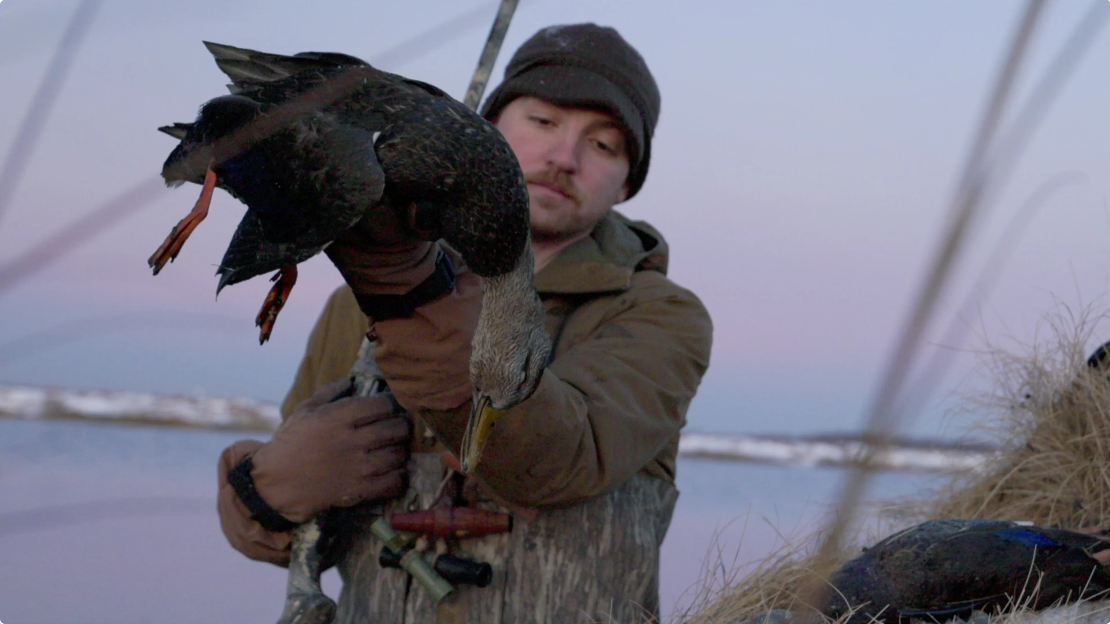 duck hunt trailer static