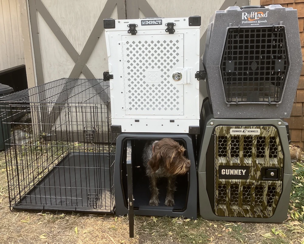 Best Hunting Dog Kennels testing