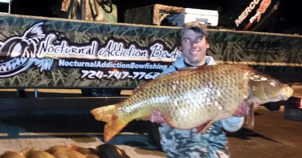 Pennsylvania record carp, bowfishing record, carp record, new Pennsylvania carp record, bowfishing carp record,