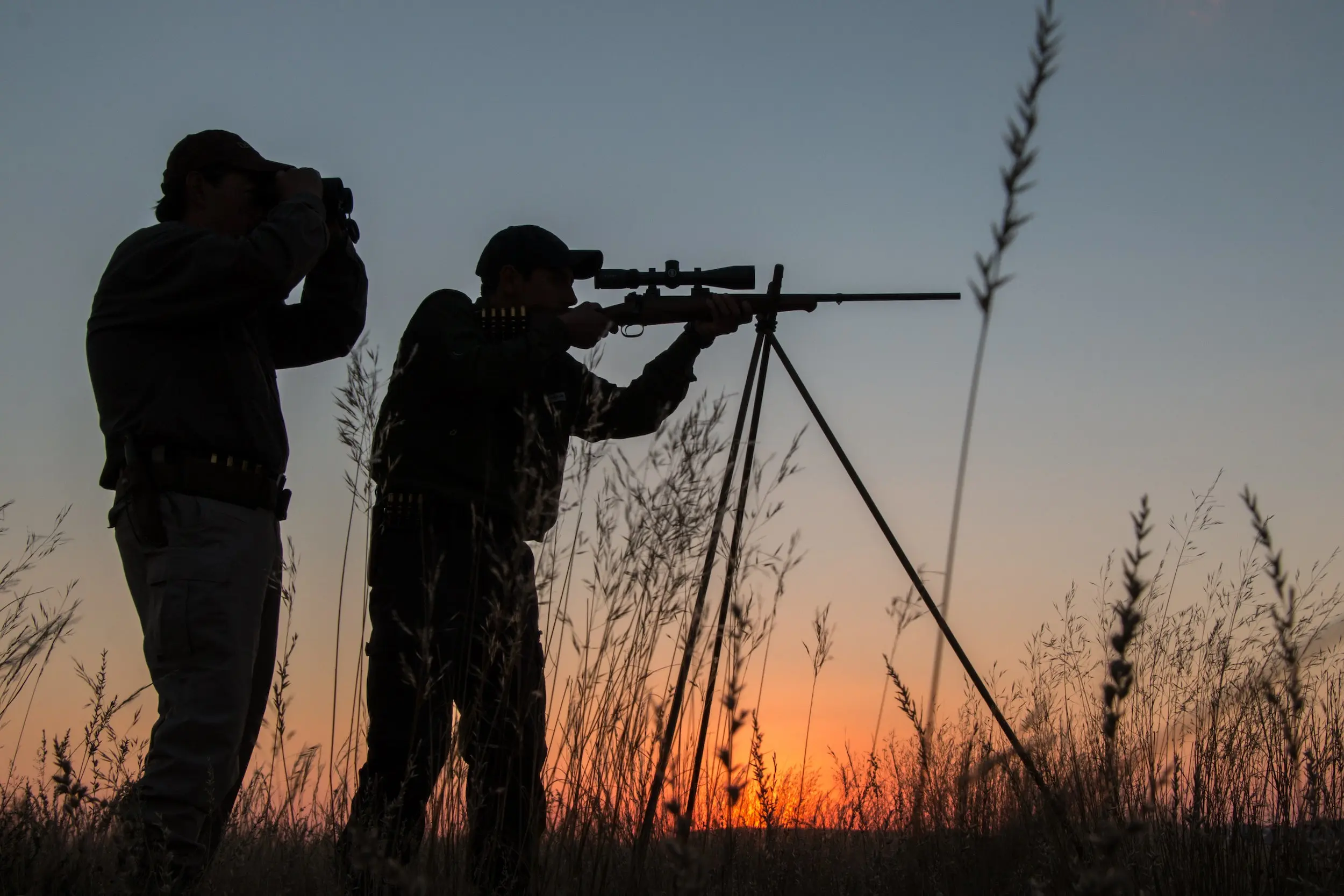 Two sihouetted hunters shooting from a tripod at sunset.