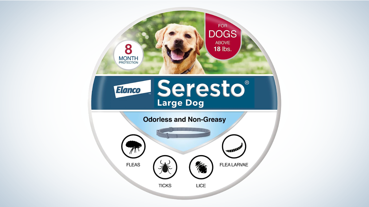 Best Tick Collars for Dogs: Seresto Flea &amp; Tick Treatment &amp; Prevention Collar