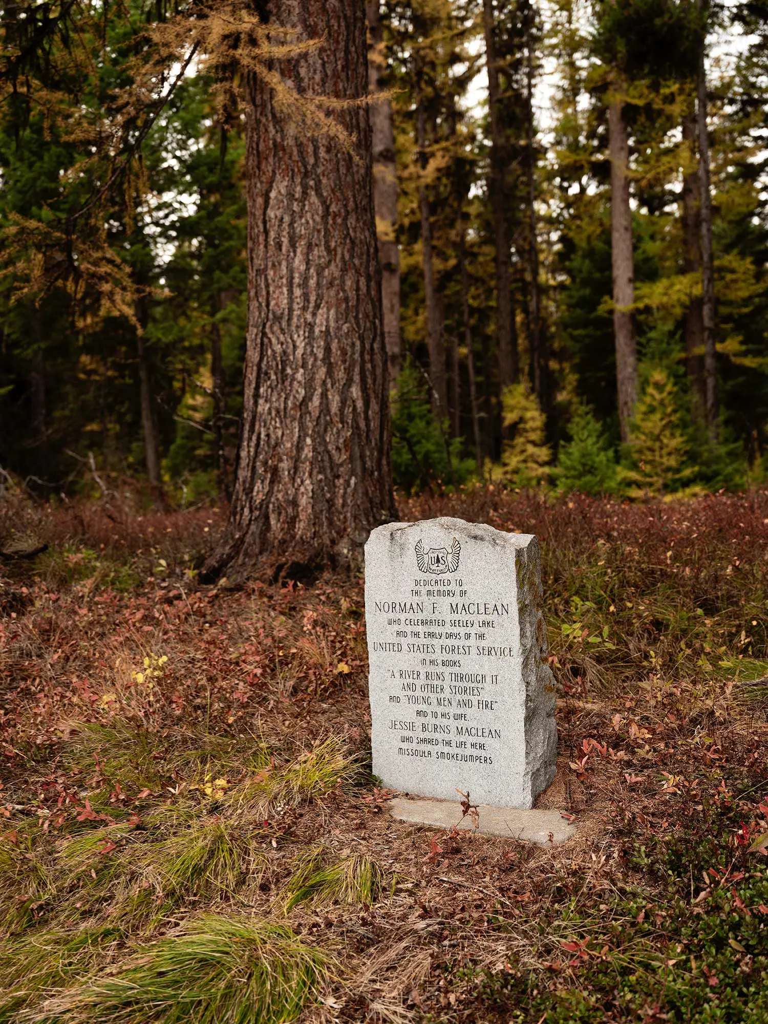 A gravestone marker for Norman Maclean sits in a wooded forest.