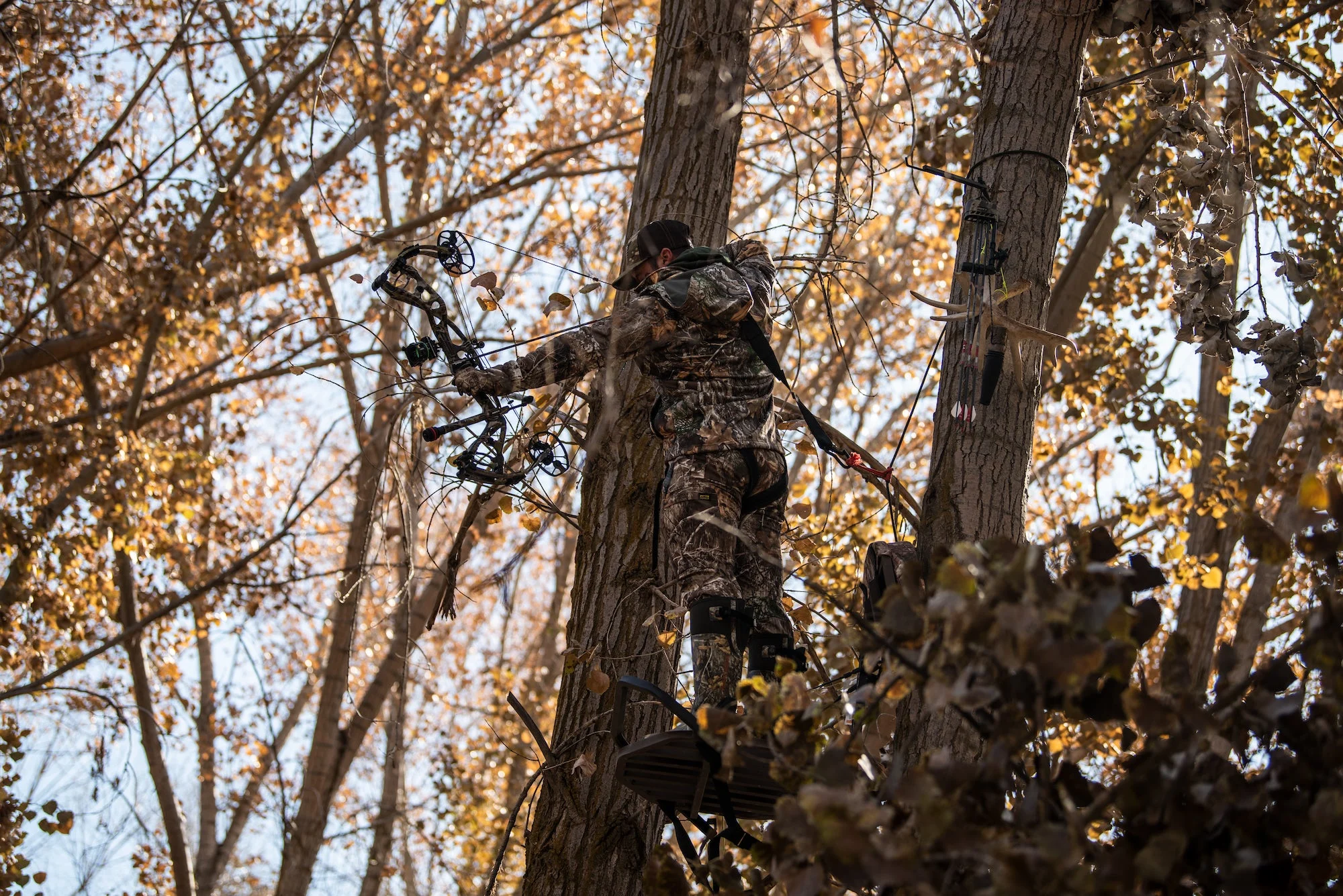 A bowhunter takes aim from a high in a treestand.