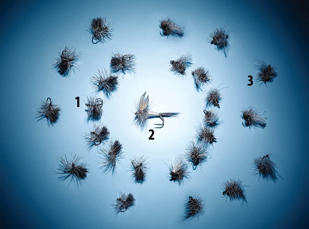 An arrangement of fly patterns on a blue lit background.