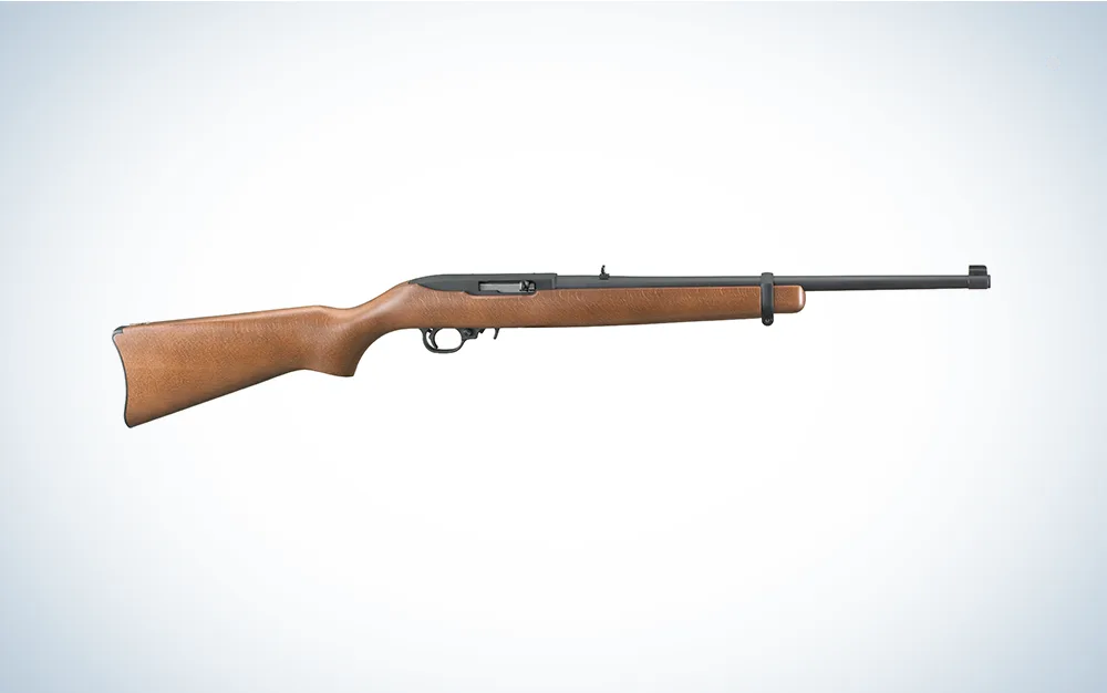 Ruger 10-22 Carbine 22 rifle