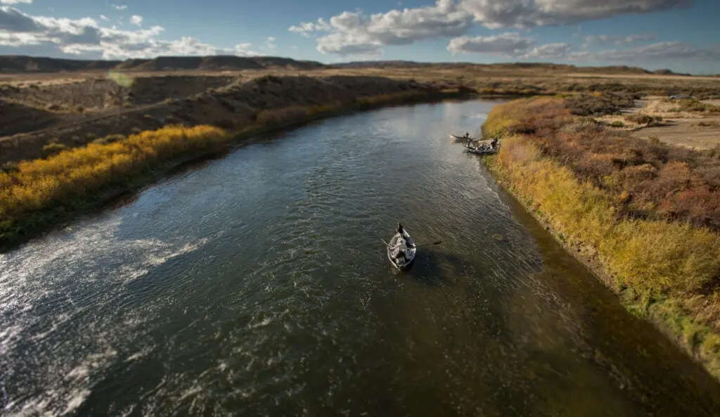 trout in the north platte