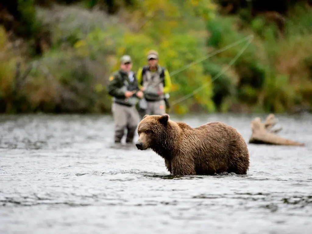 Fishermen stand together when a bear approaches.