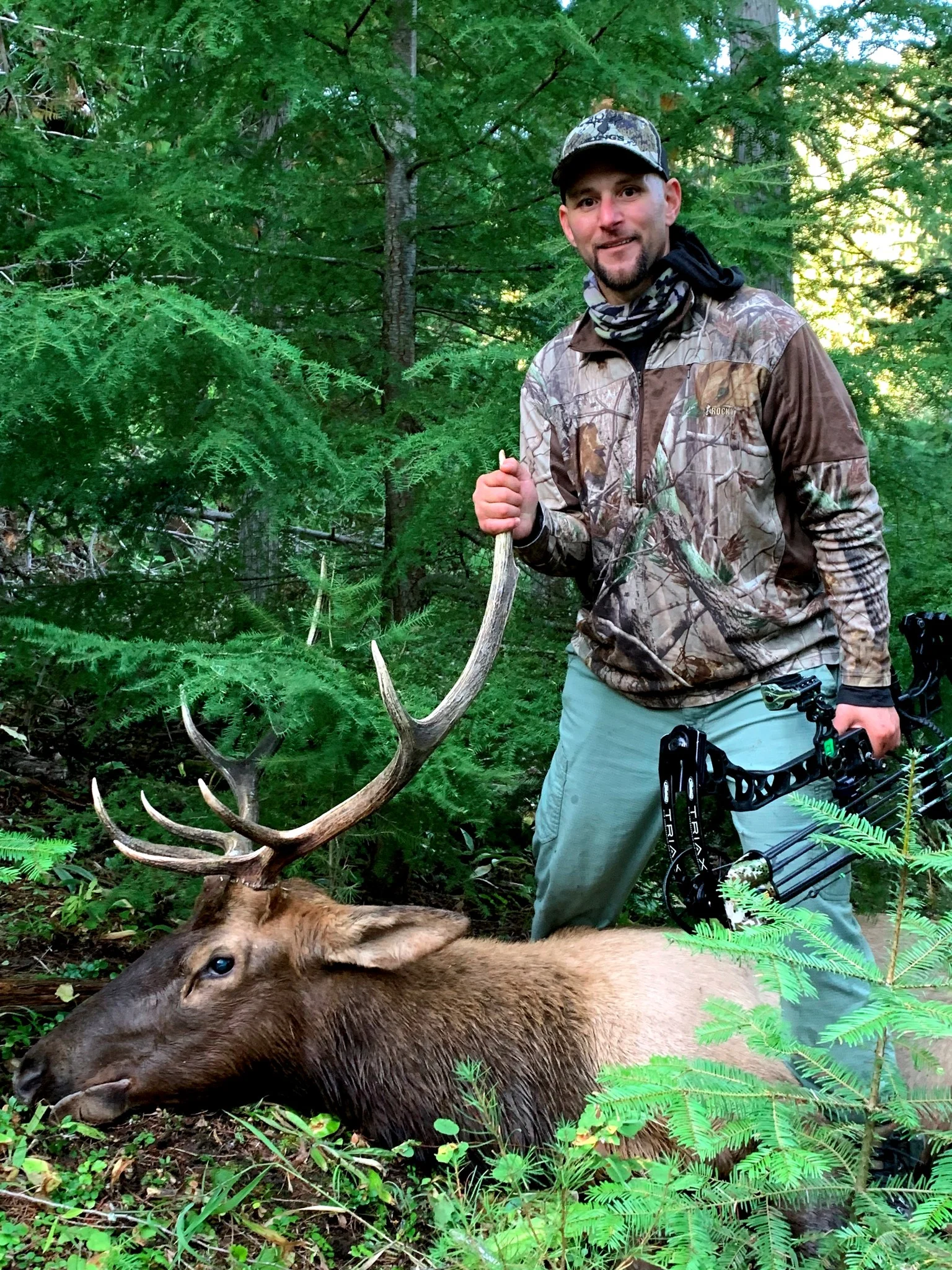 A hunter with a bull elk. 