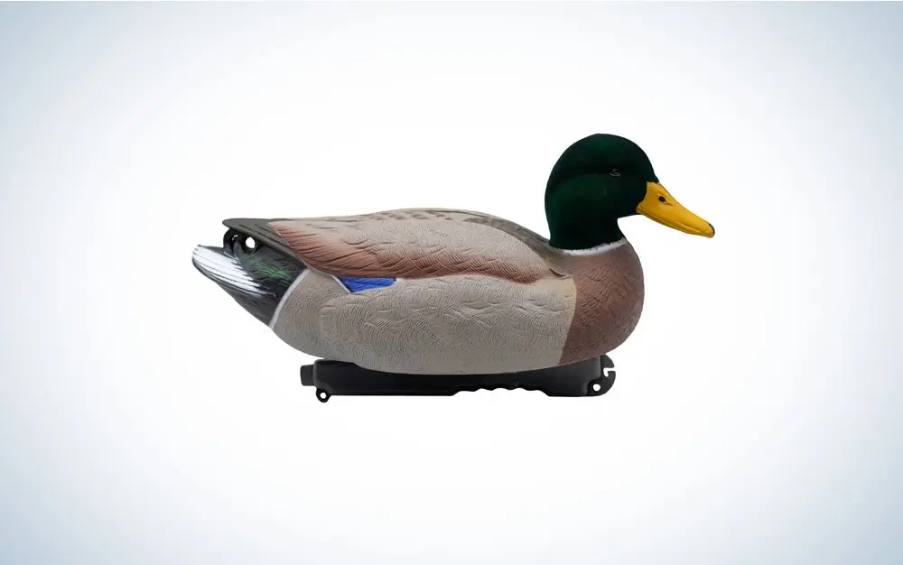 mallard decoy blue and white background