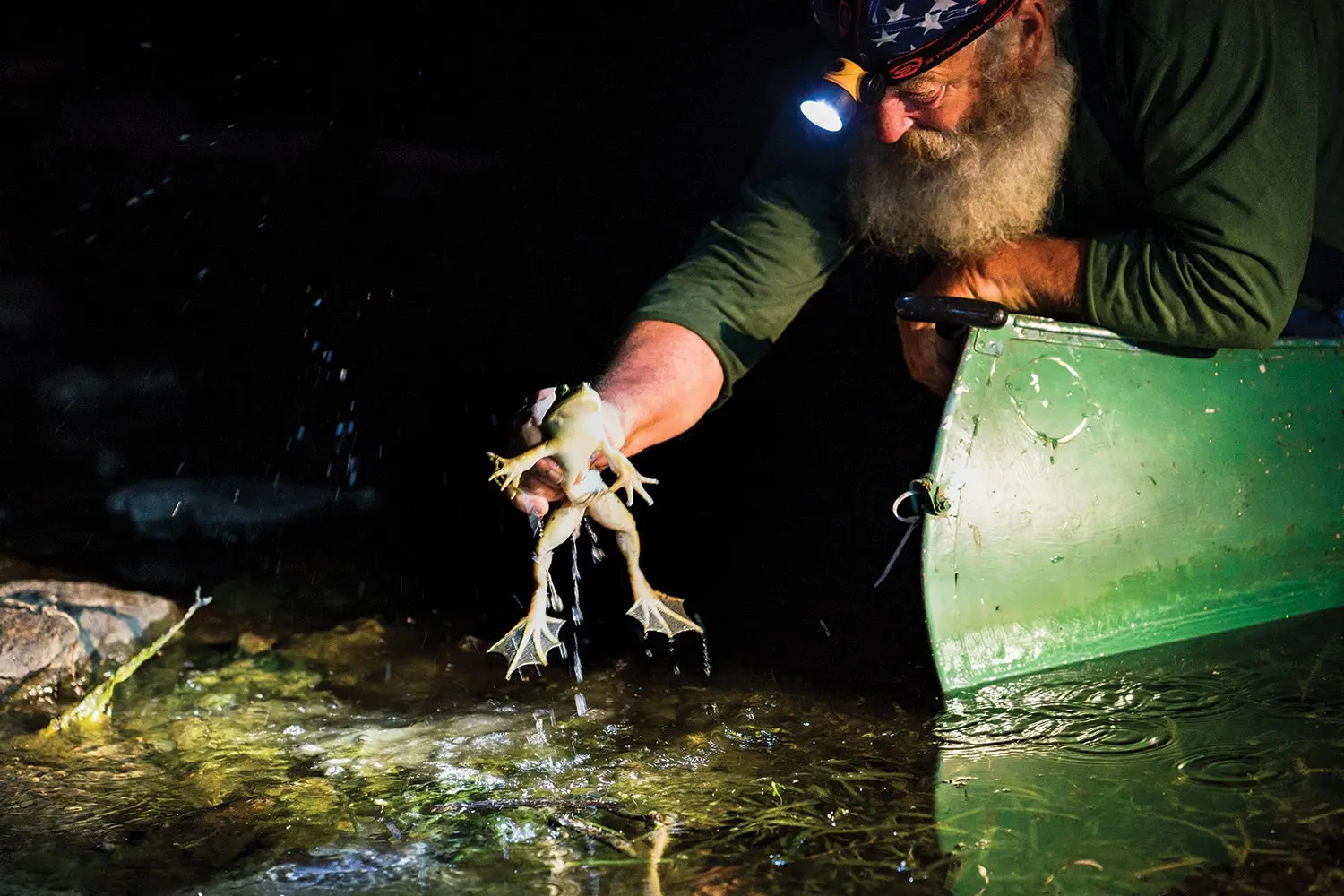 man wearing headlamp holding frog