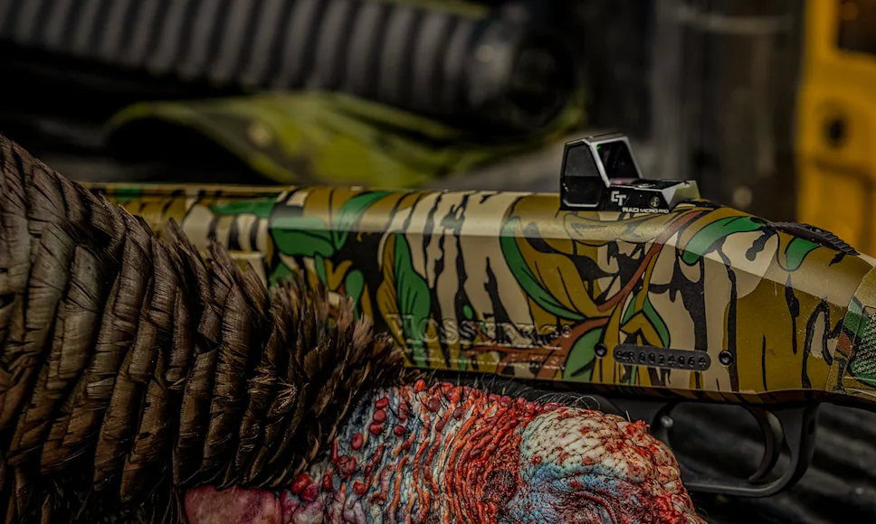 Shotgun with red dot next to dead turkey